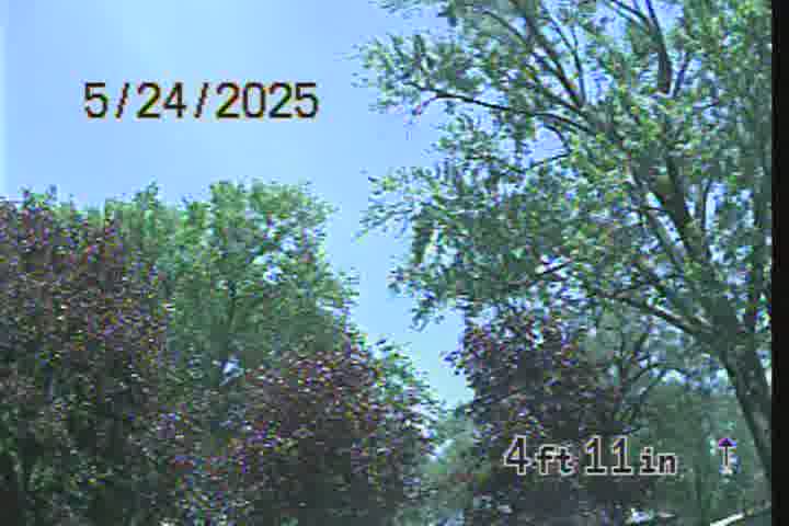 Frame
